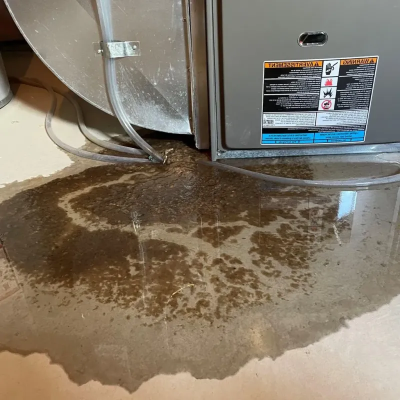Pipe Burst and Leak Restoration in Hurley, NM